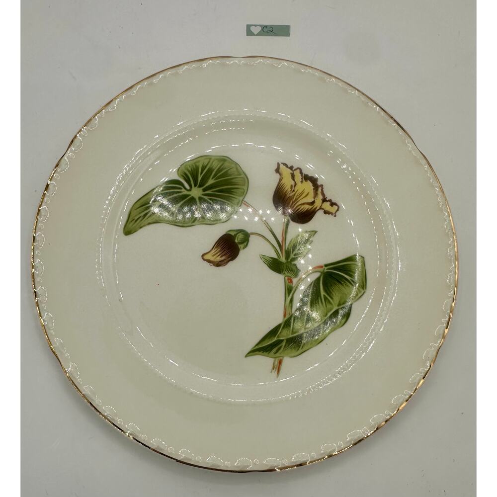 VTG Crooksville USA Dinner Plate 10” Floral Design 22K Gold Trim Pattern B860MM